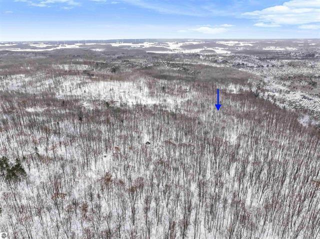 0 West Falmouth Road McBain, MI 49657 - Photo 4 of 14 4