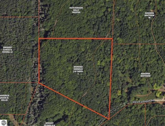 0 West Falmouth Road McBain, MI 49657 - Photo 5 of 14 5