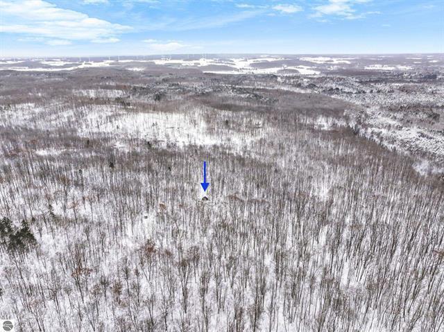 0 West Falmouth Road McBain, MI 49657 - Photo 8 of 14 8