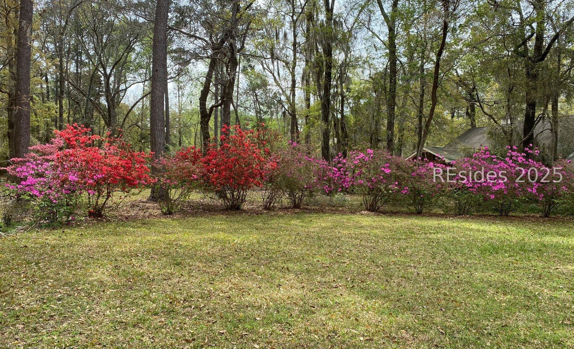 59 State Rd S-7-578 Beaufort, SC 29907 - Photo 54 of 55