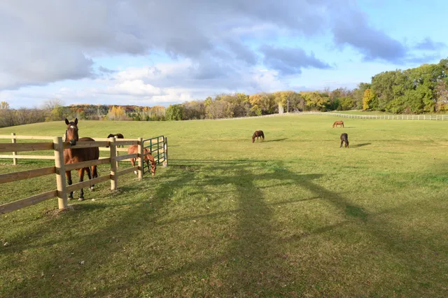 $1,100,000 | 68157 340th Street, Watkins, MN 55389