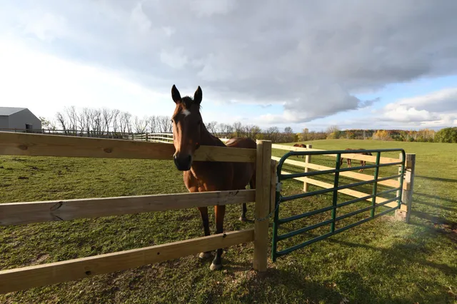 $1,100,000 | 68157 340th Street, Watkins, MN 55389