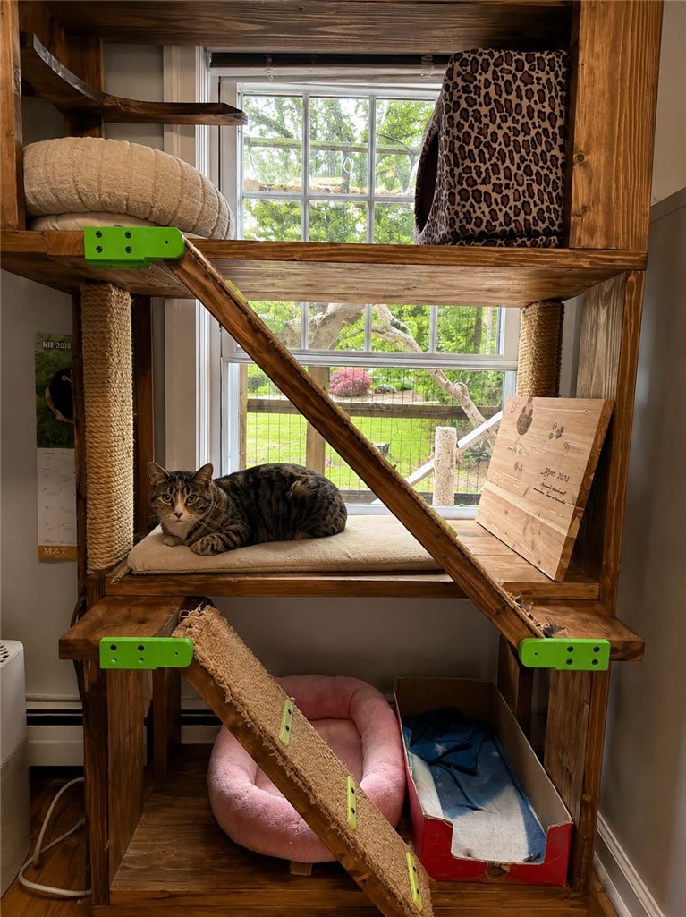 625 Mendon Road Cumberland, RI 02864 - Photo 24 of 28 digitally enhanced- cat catio