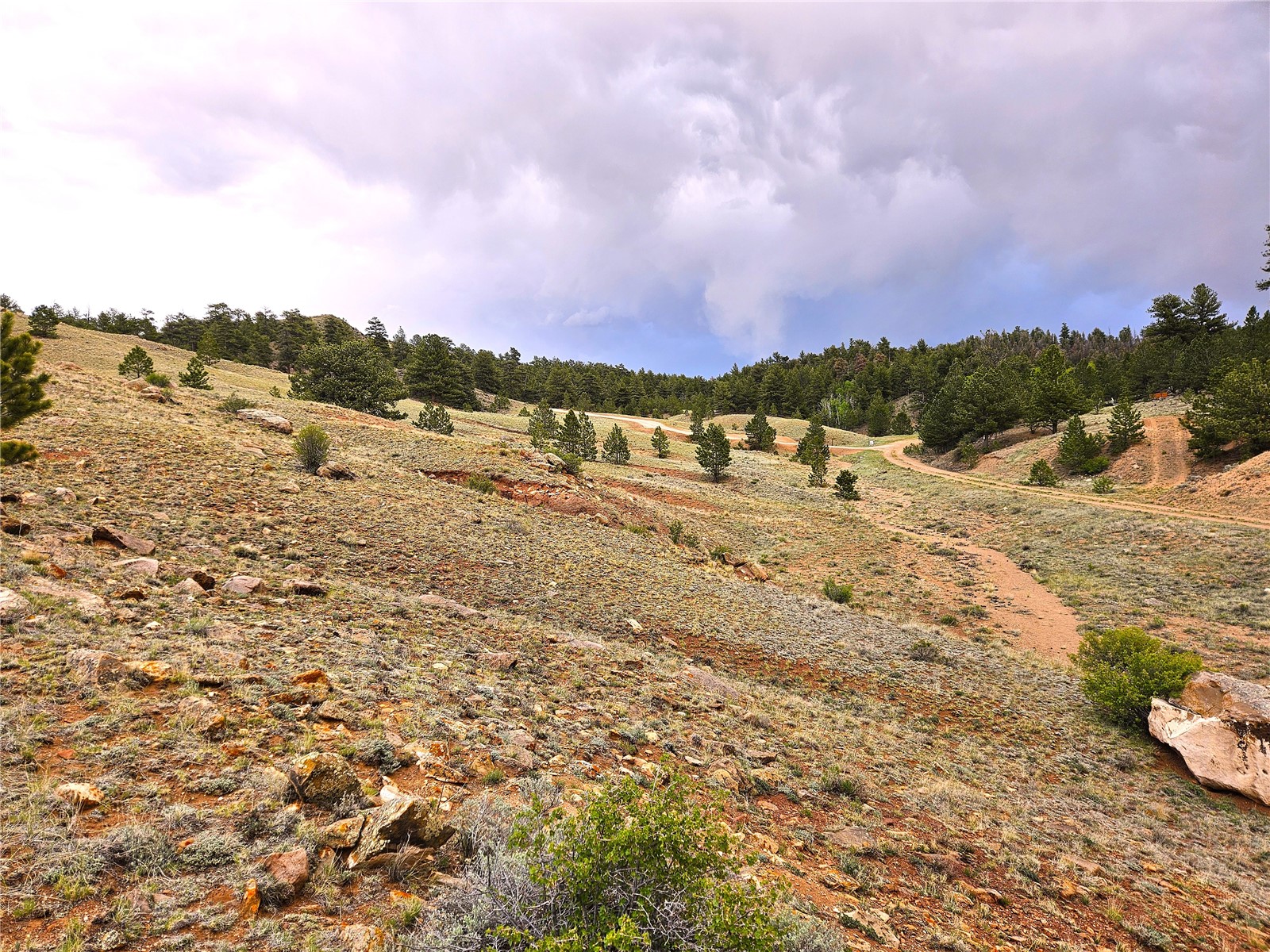 Pcs#25251 Fernando Trail Hartsel, CO 80449 - Photo 18 of 29