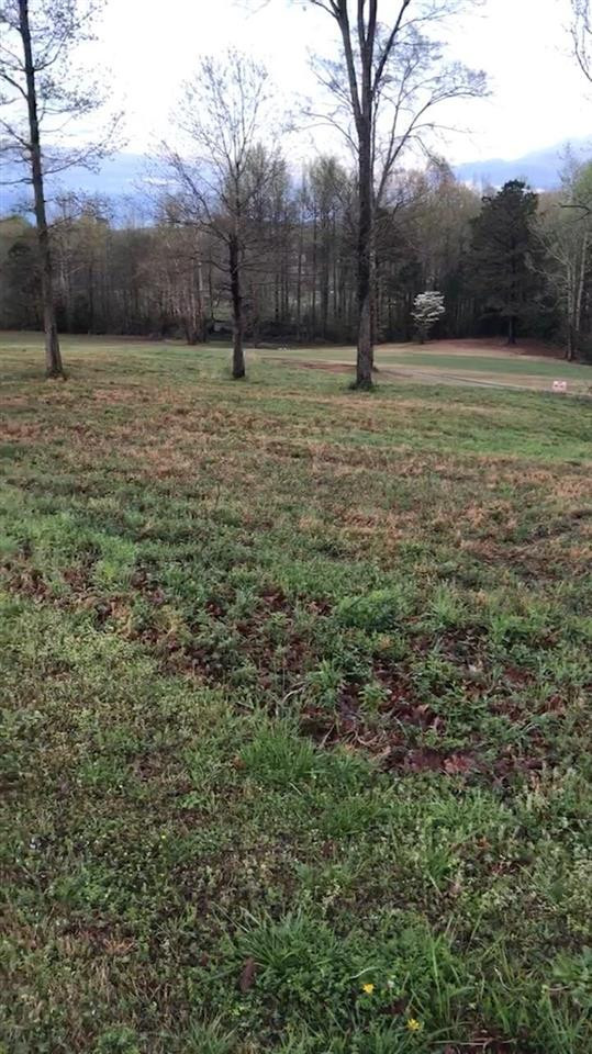 Golfview Drive Decaturville, TN 38329 - Photo 1 of 1 Photo 1