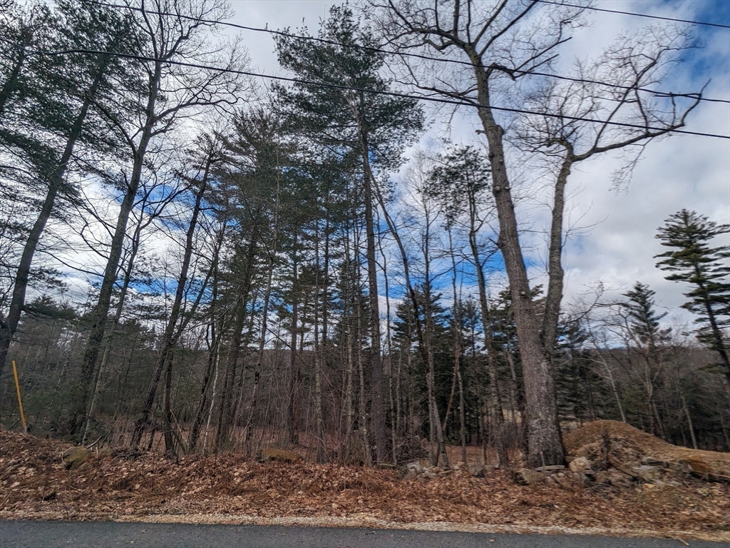 Lot 5-510 Old County Road Wales, MA 01081 - Photo 26 of 31