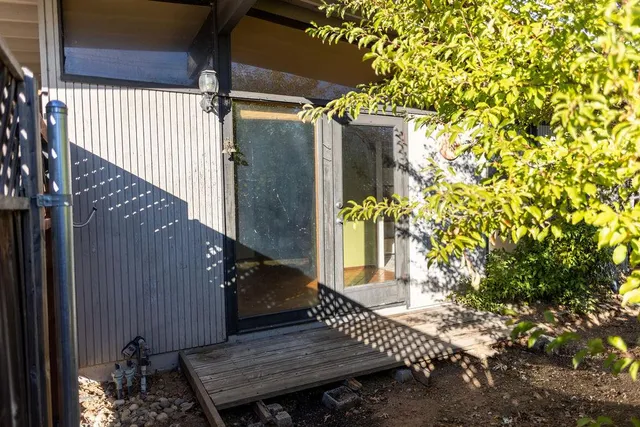 a view of a backyard with plants