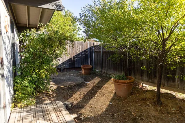 a view of a backyard with water fountain and large tree
