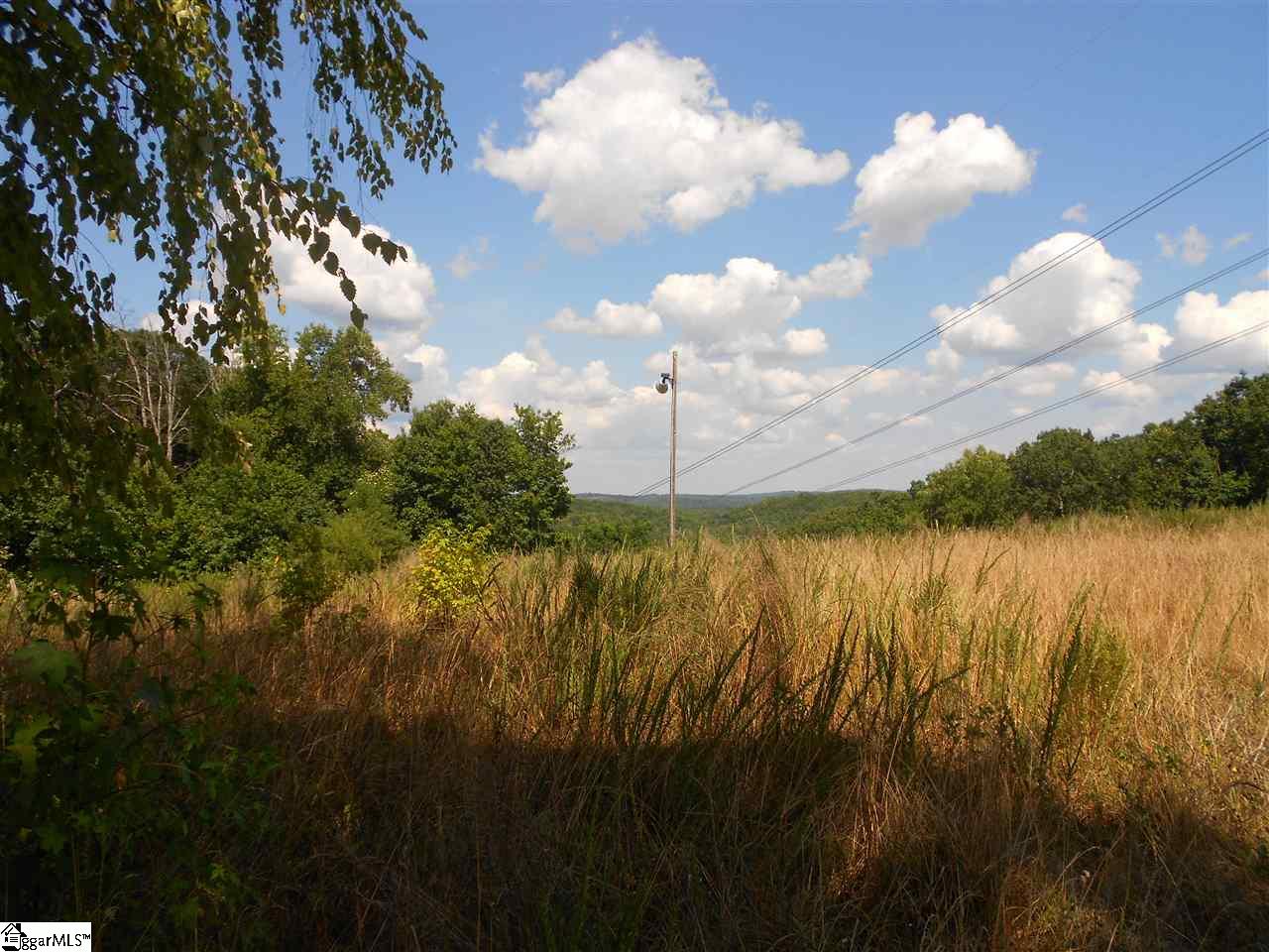 1050 Chinquapin Road Travelers Rest, SC 29690 - Photo 30 of 36 Gallery Image 30