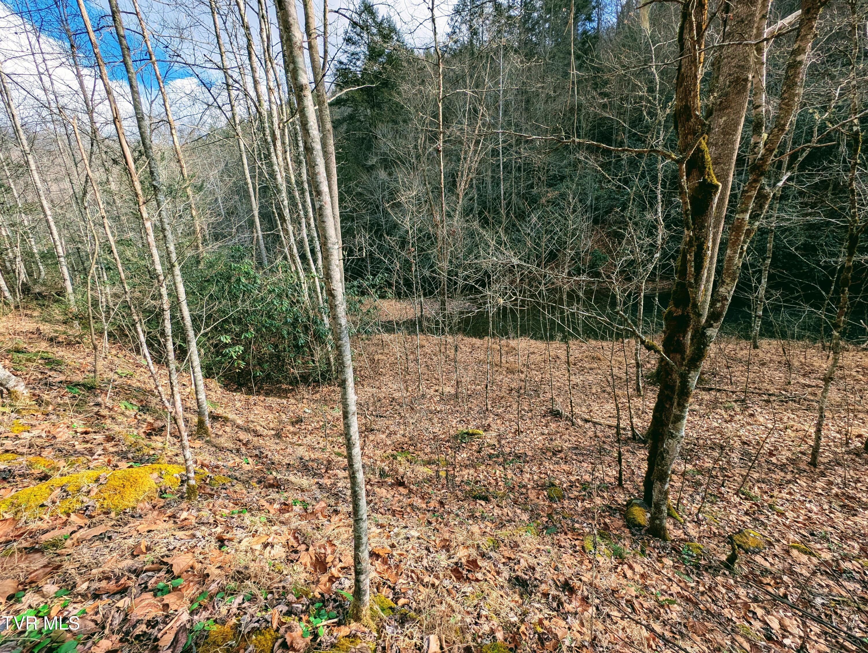 Tbd Rockhouse Road Clintwood, VA 24228 - Photo 12 of 17 1000017736