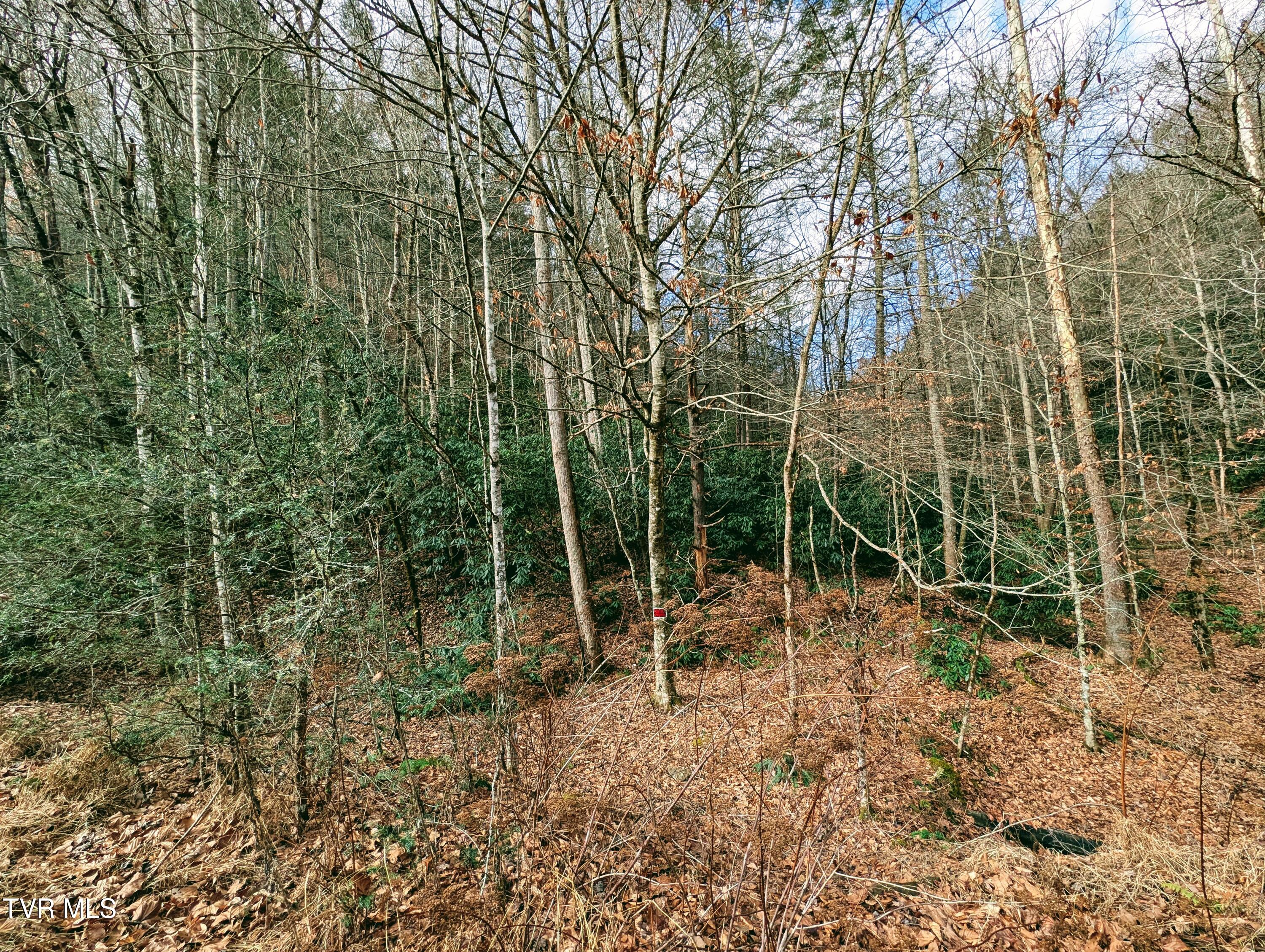 Tbd Rockhouse Road Clintwood, VA 24228 - Photo 15 of 17 1000017739