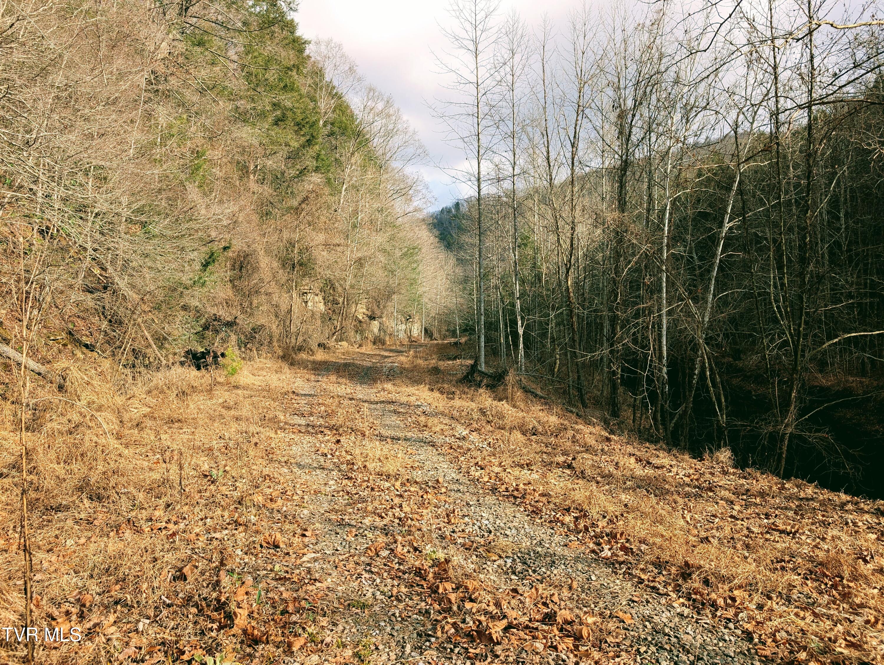 Tbd Rockhouse Road Clintwood, VA 24228 - Photo 4 of 17 1000017728