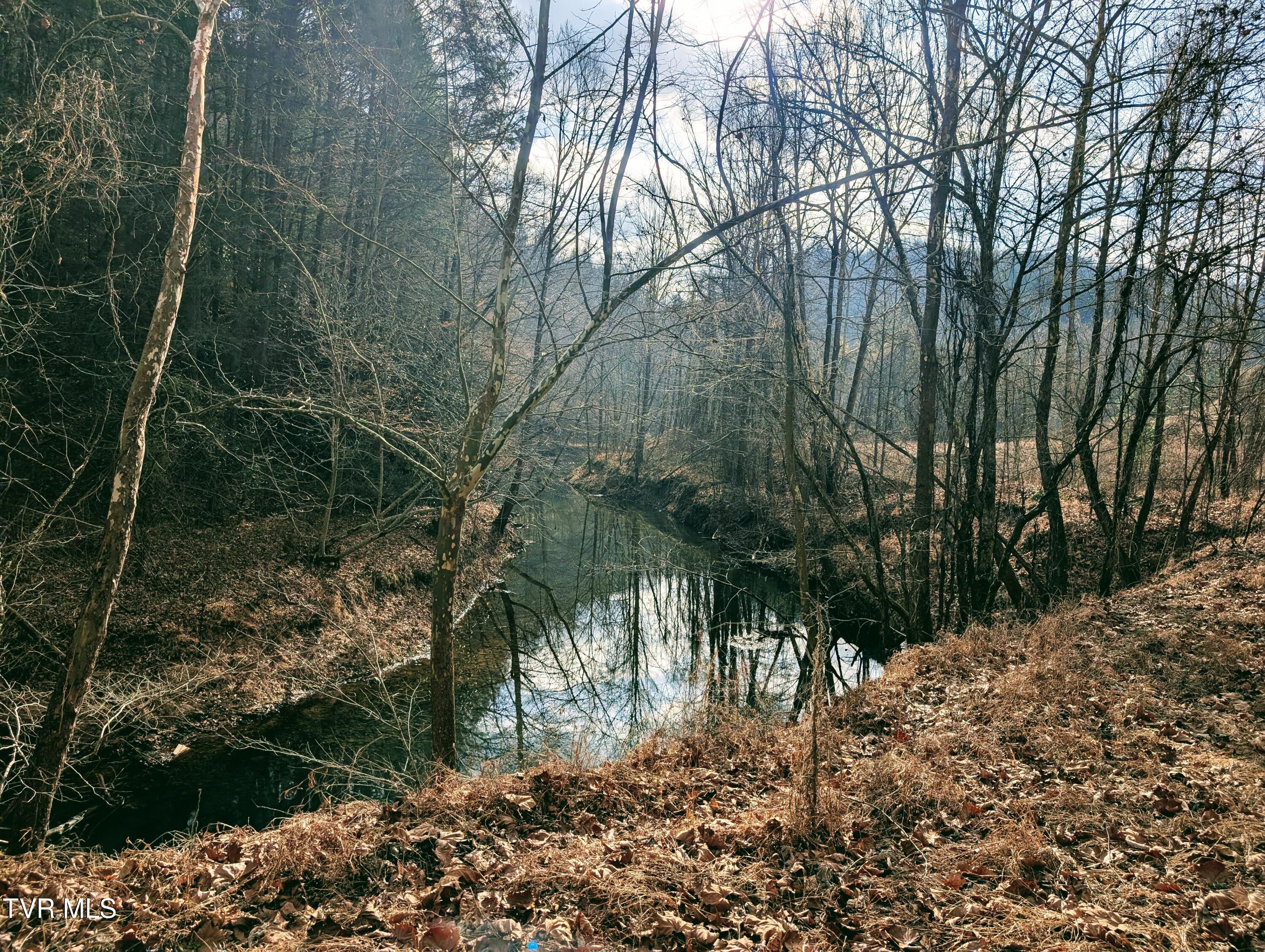 Tbd Rockhouse Road Clintwood, VA 24228 - Photo 5 of 17 1000017729