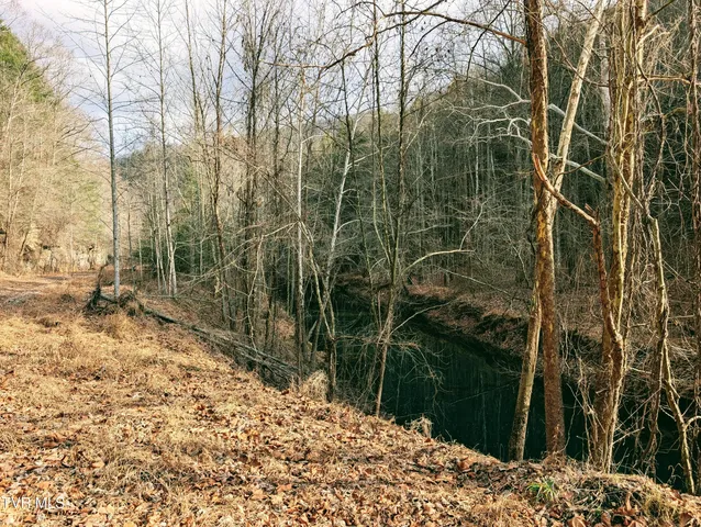 $159,000 | Tbd Rockhouse Road, Clintwood, VA 24228