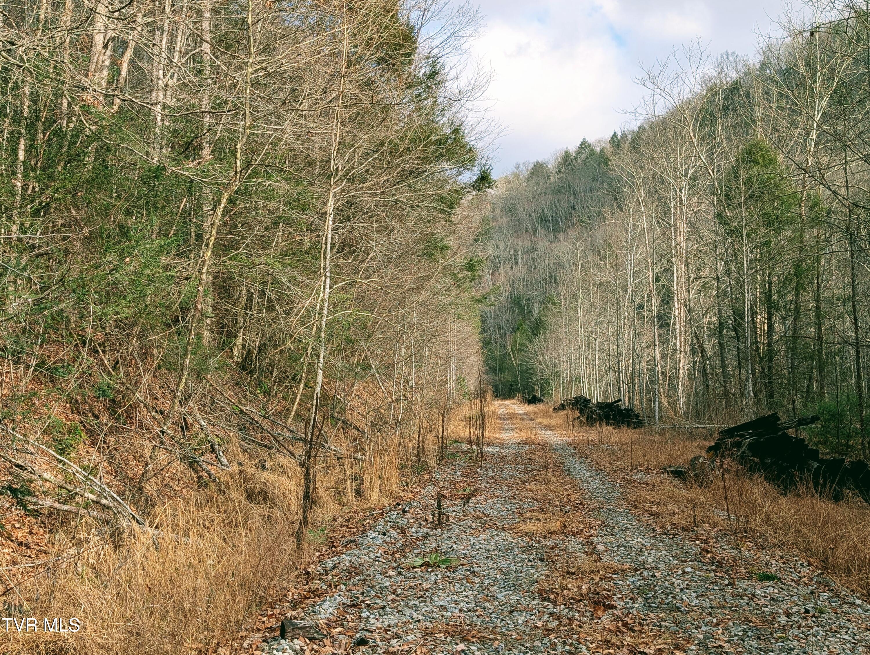 Tbd Rockhouse Road Clintwood, VA 24228 - Photo 8 of 17 1000017732
