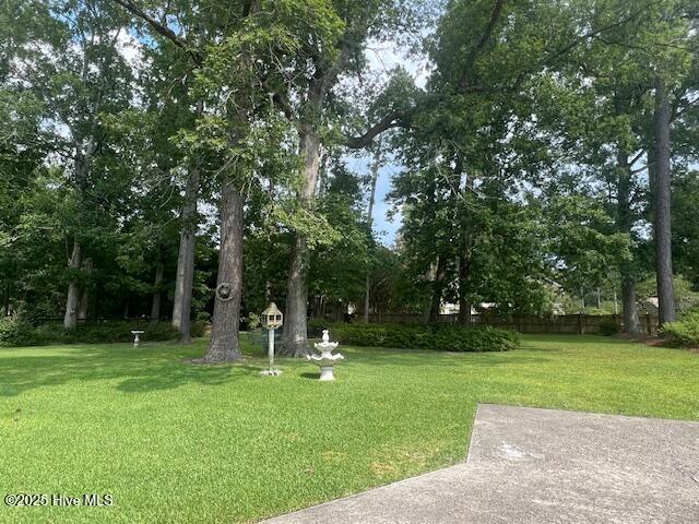 107 North Reed Drive Washington, NC 27889 - Photo 29 of 29 IMG_0652