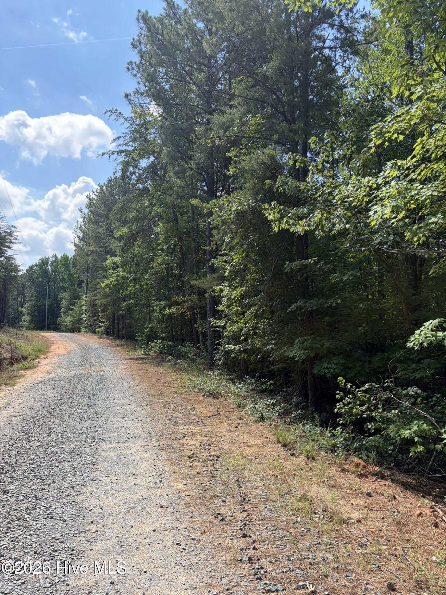 Tbd Green Road Ellerbe, NC 28338 - Photo 3 of 23