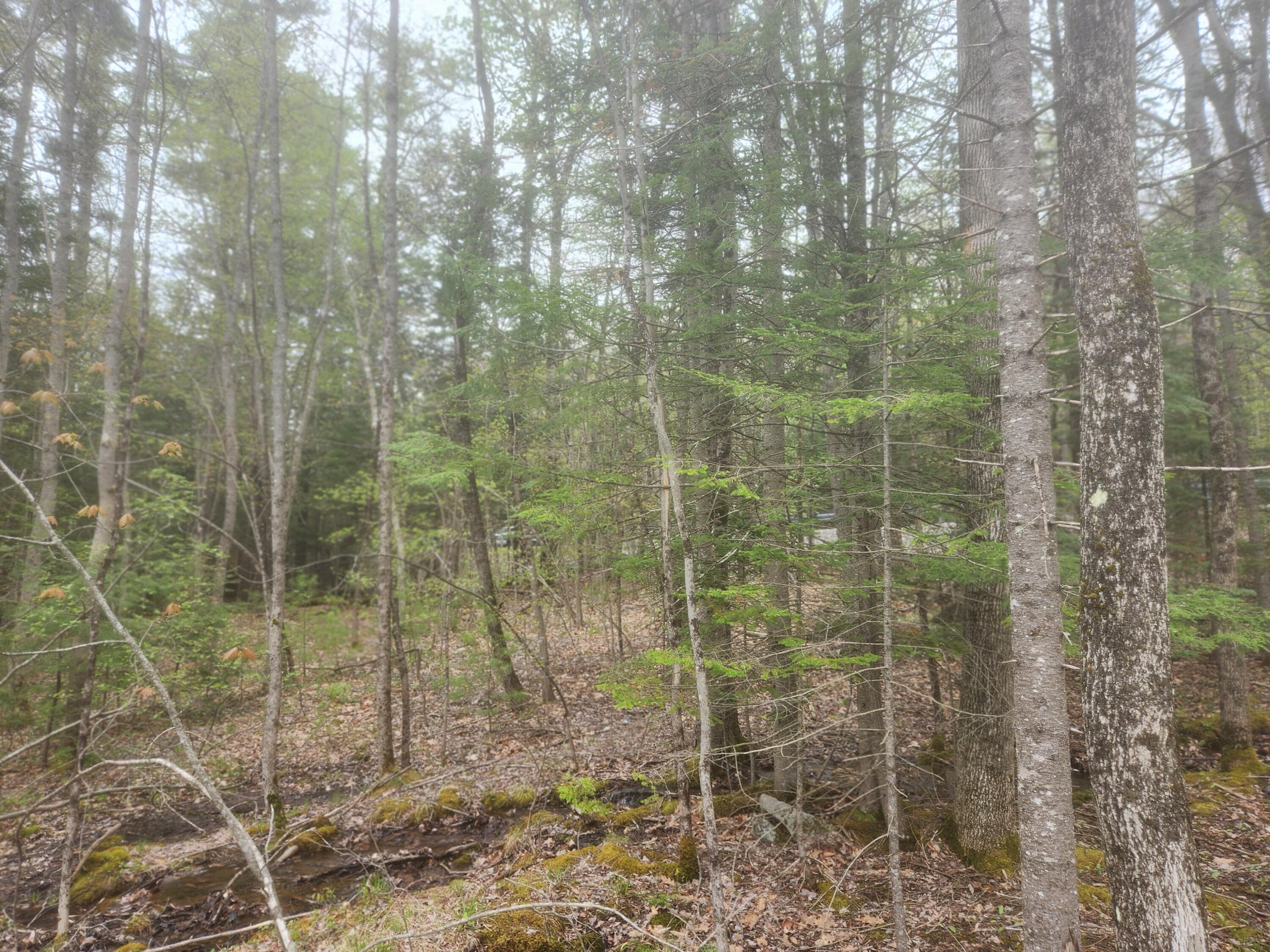 146 Ferry Road Lisbon, ME 04250 - Photo 22 of 23 20250509_143939