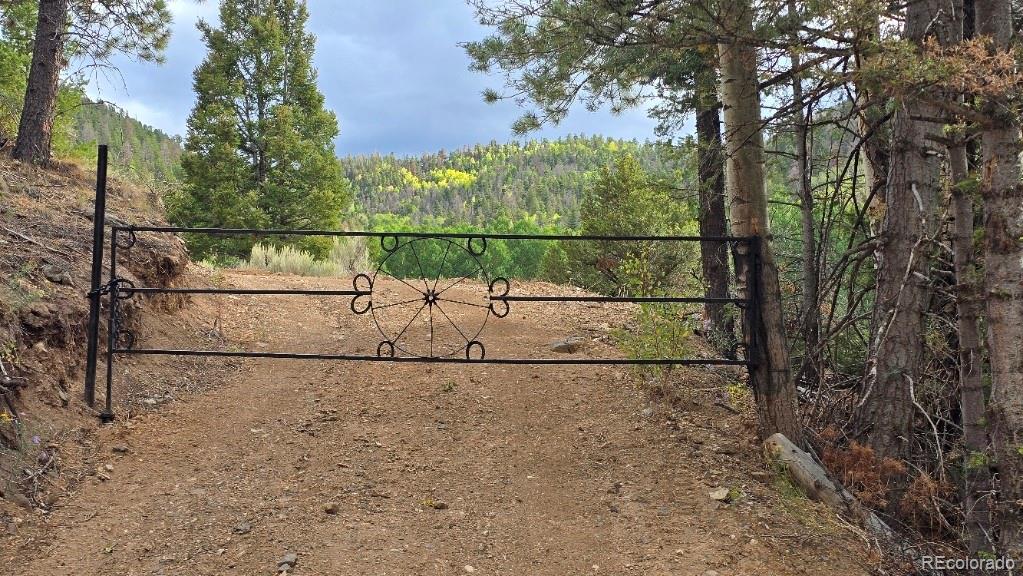 5520 Bateman Road Fort Garland, CO 81133 - Photo 5 of 40 Gallery Image 5