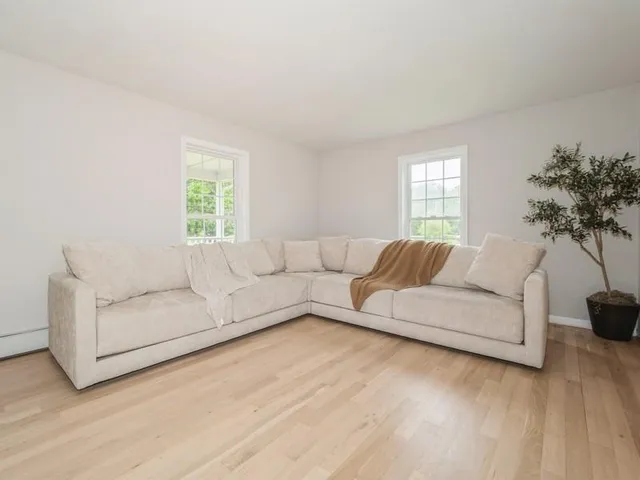 a living room with furniture and a potted plant