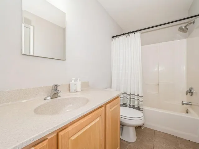 a bathroom with a sink a toilet and a bathtub