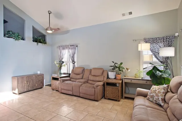 a living room with furniture and a potted plant