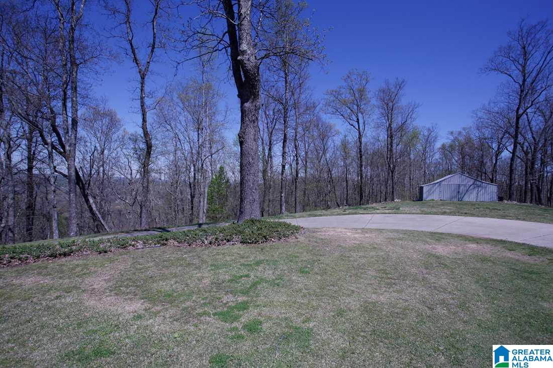 7625 Old Springville Road Trussville, AL 35173 - Photo 35 of 49