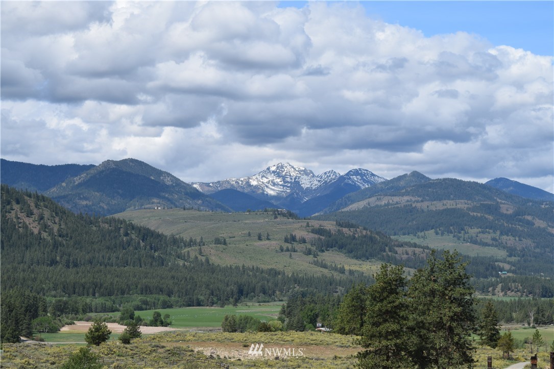 38 Buckskin Road Winthrop, WA 98862 - Photo 12 of 17 Gallery Image 12