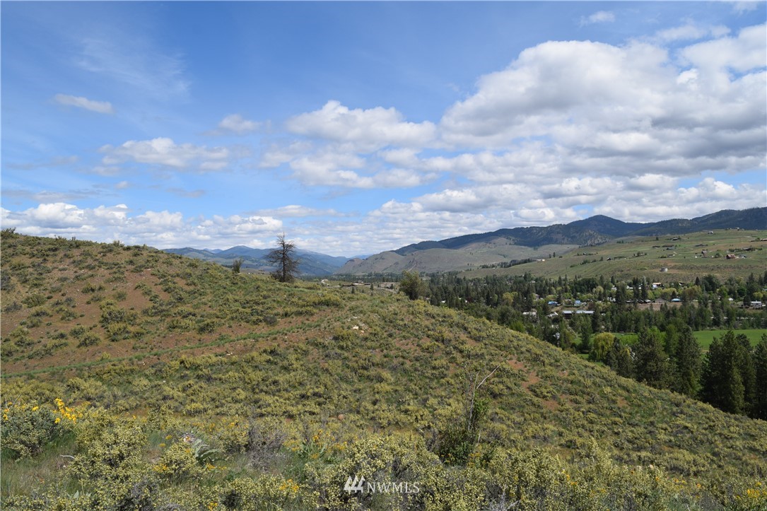 38 Buckskin Road Winthrop, WA 98862 - Photo 15 of 17 Gallery Image 15