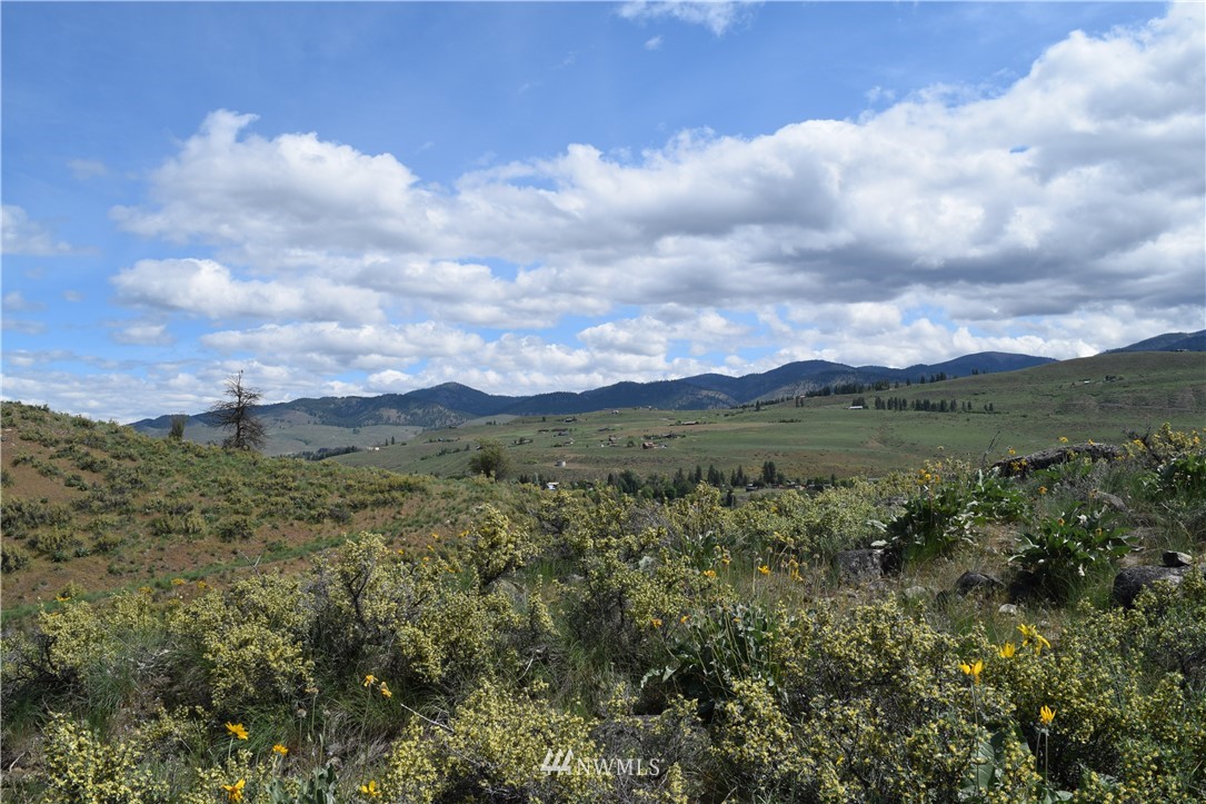 38 Buckskin Road Winthrop, WA 98862 - Photo 4 of 17 Gallery Image 4