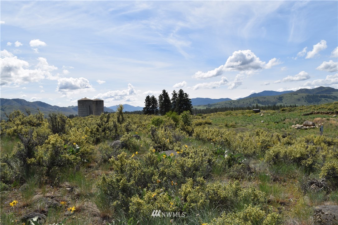 38 Buckskin Road Winthrop, WA 98862 - Photo 7 of 17 Gallery Image 7
