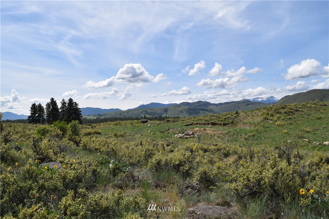 38 Buckskin Road Winthrop, WA 98862 - Photo 8 of 17 Gallery Image 8