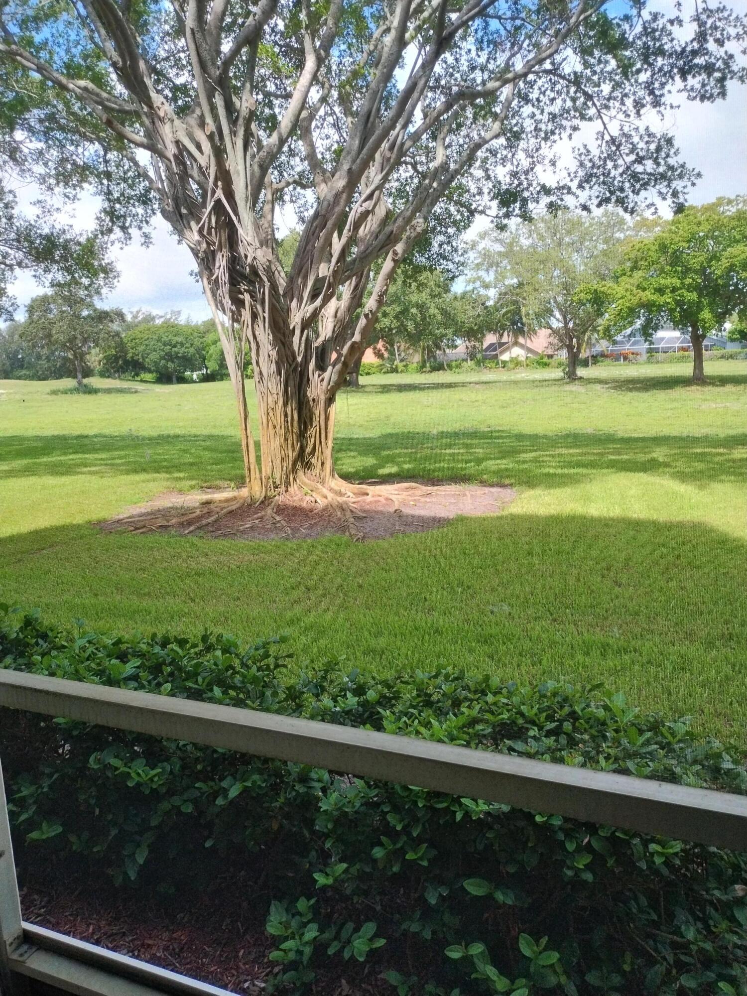 6461 Northwest 2nd Avenue, Unit 102 Boca Raton, FL 33487 - Photo 23 of 30 a view of outdoor space with yard and green space