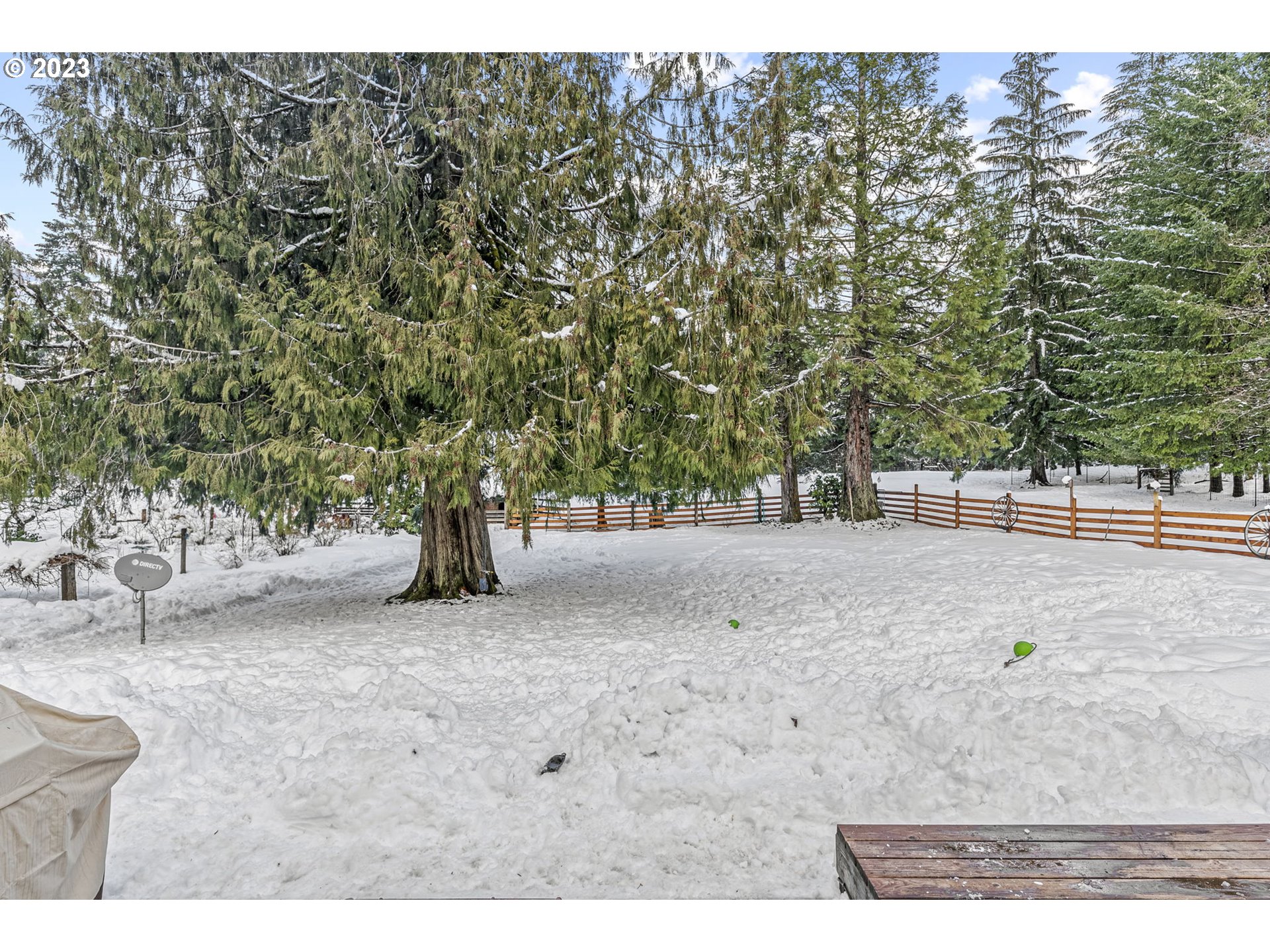 71 Stevens Road Washougal, WA 98671 - Photo 25 of 32 a view of outdoor space with trees