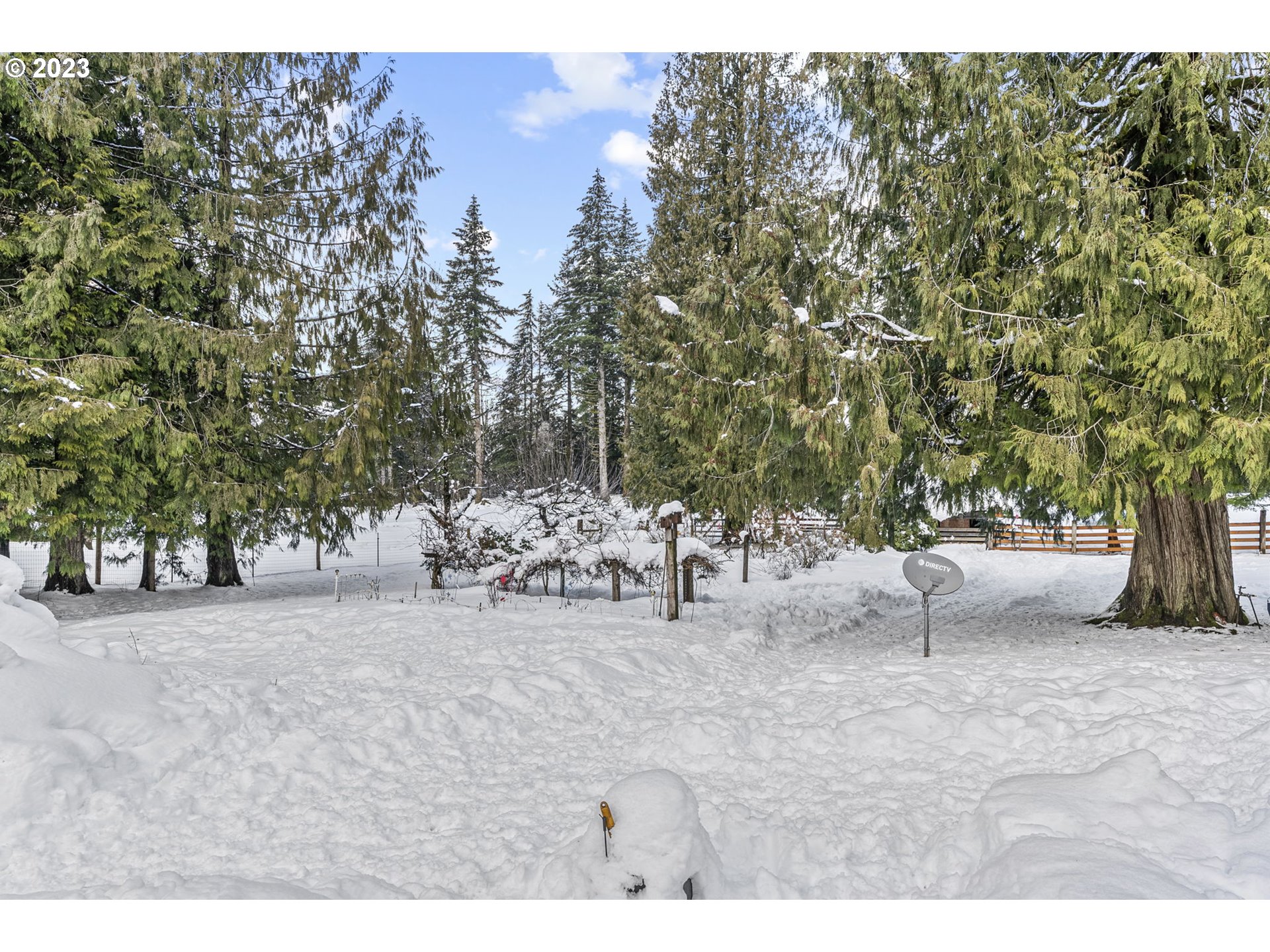 71 Stevens Road Washougal, WA 98671 - Photo 26 of 32 a view of a outdoor space with trees