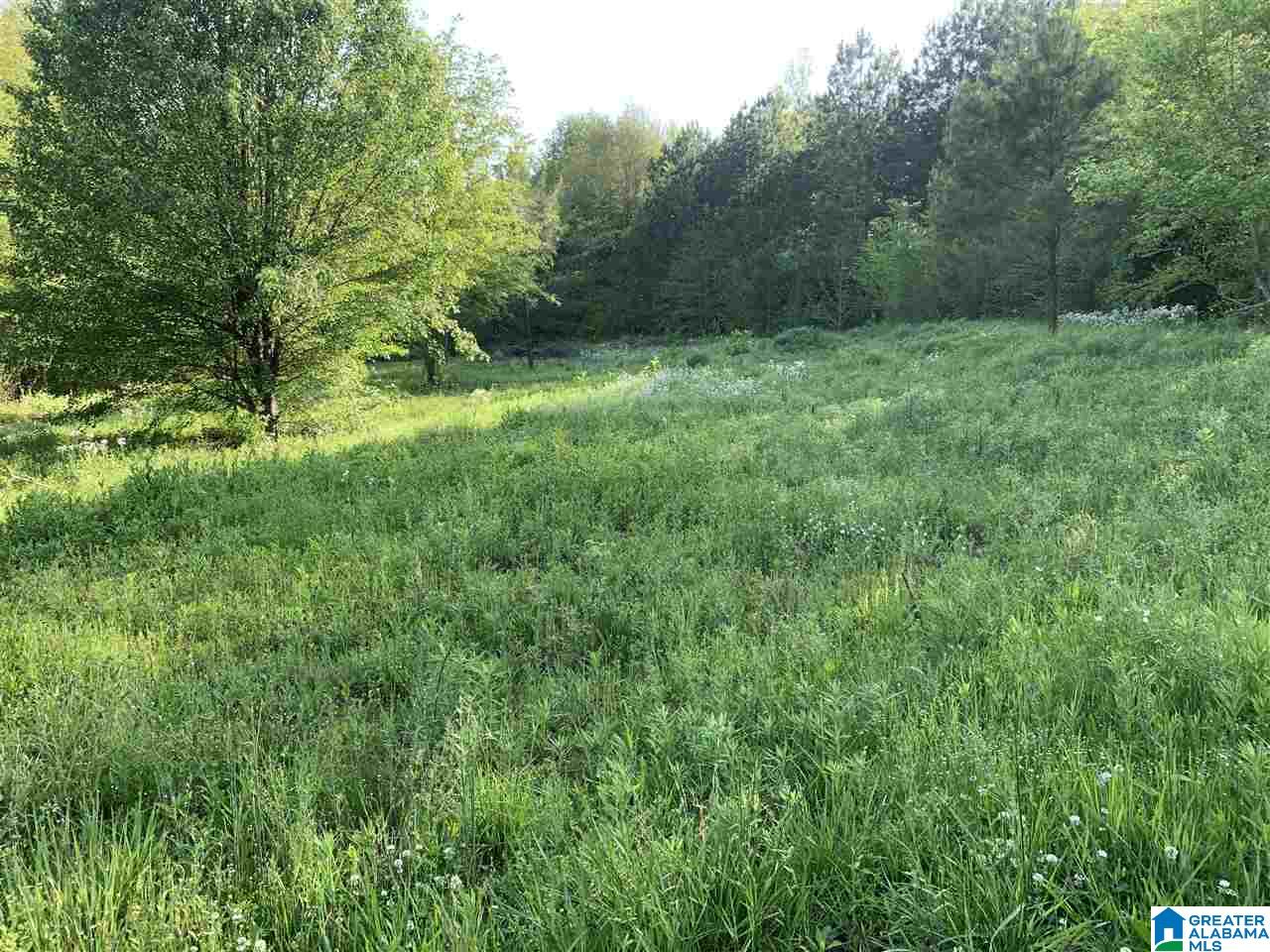 0 Highway 11 Springville Al, Unit 30 Springville, AL 35146 - Photo 5 of 6