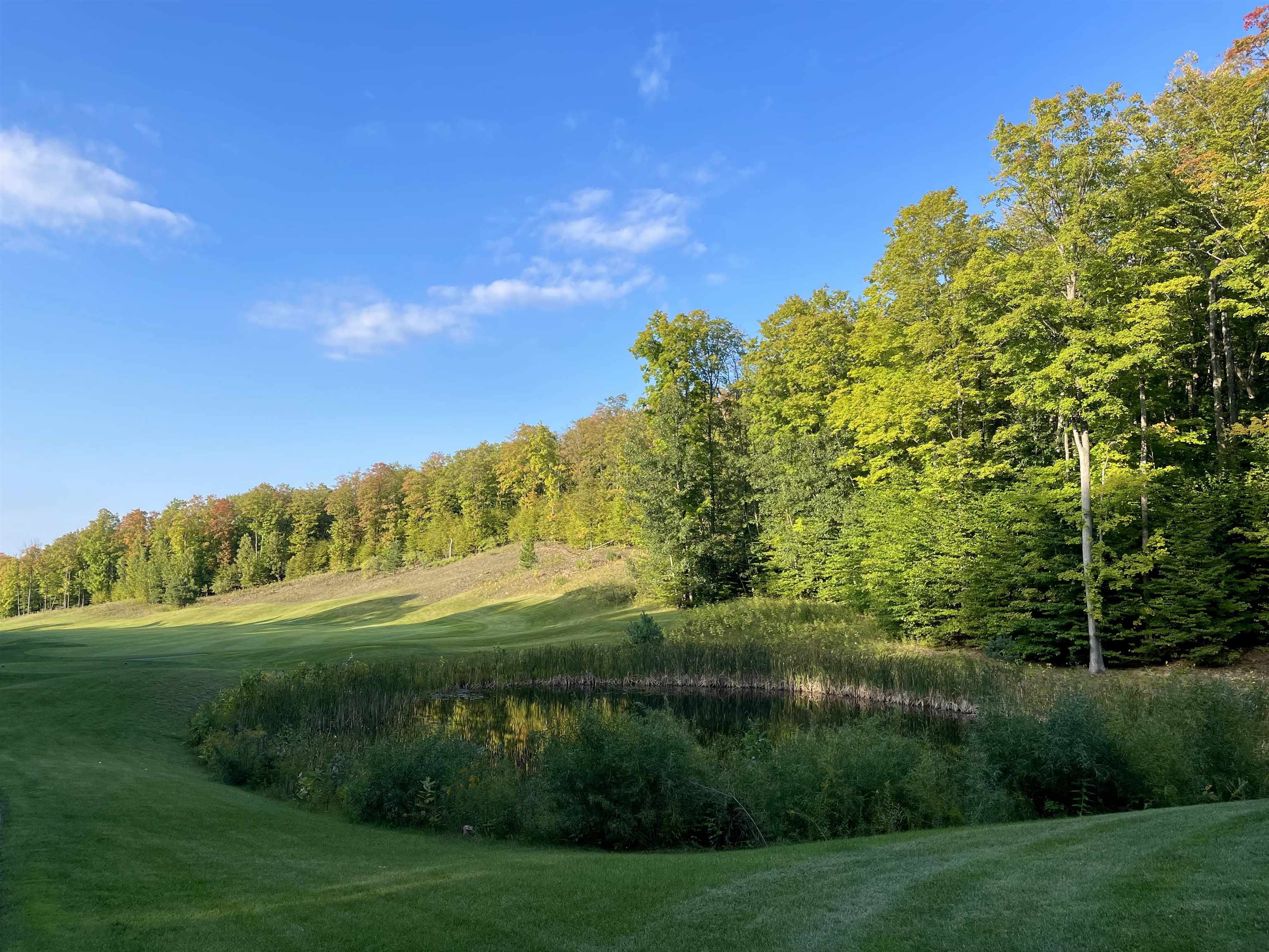 Tbd Tbd Raptor Bellaire, MI 49615 - Photo 4 of 7