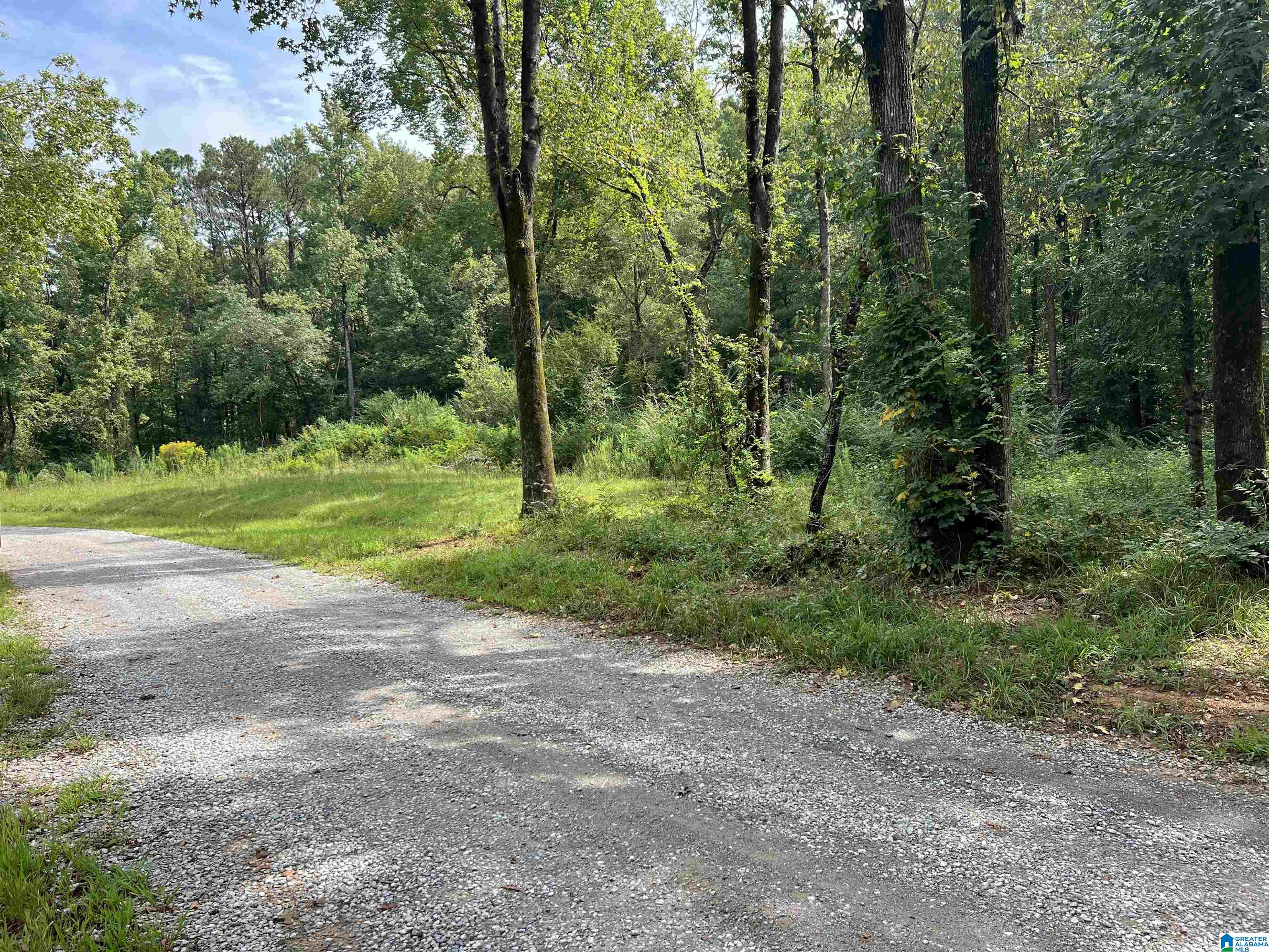58 Rustic Oaks Drive Sterrett, AL 35147 - Photo 25 of 30