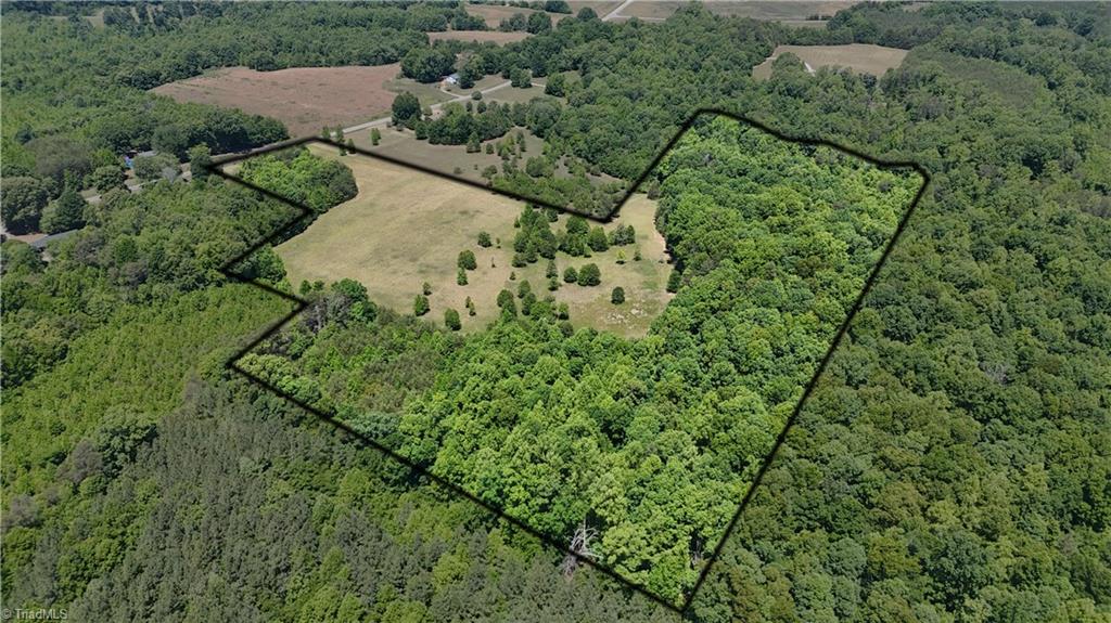 0 Witty Road Summerfield, NC 27358 - Photo 6 of 21
