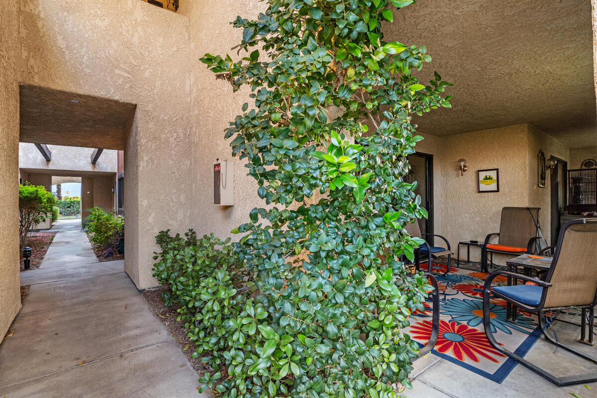 200 East Racquet Club Road, Unit 69 Palm Springs, CA 92262 - Photo 22 of 44 a view of a backyard with potted plants and a large tree