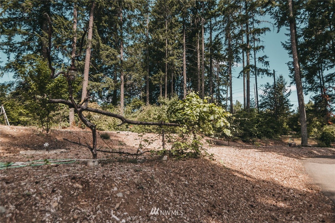 7925 Mullen Road Southeast Olympia, WA 98503 - Photo 33 of 35