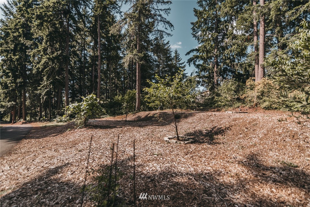 7925 Mullen Road Southeast Olympia, WA 98503 - Photo 34 of 35