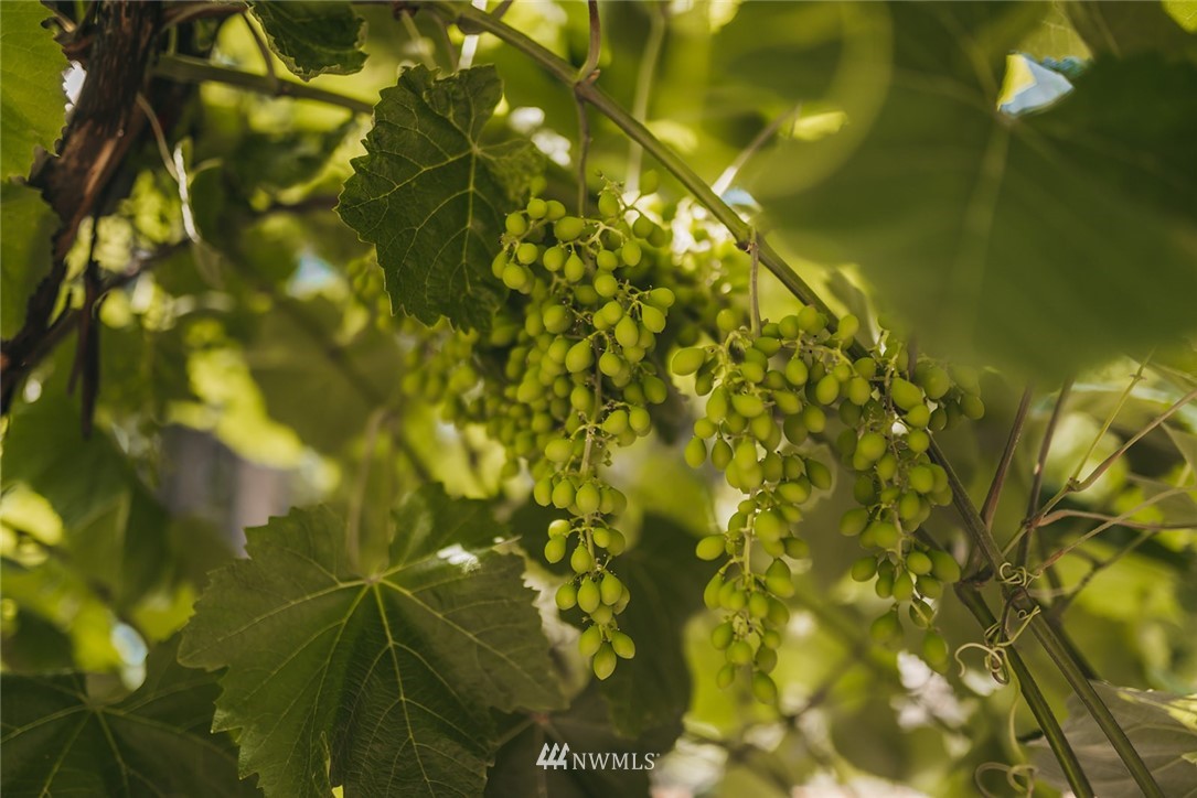 7925 Mullen Road Southeast Olympia, WA 98503 - Photo 35 of 35