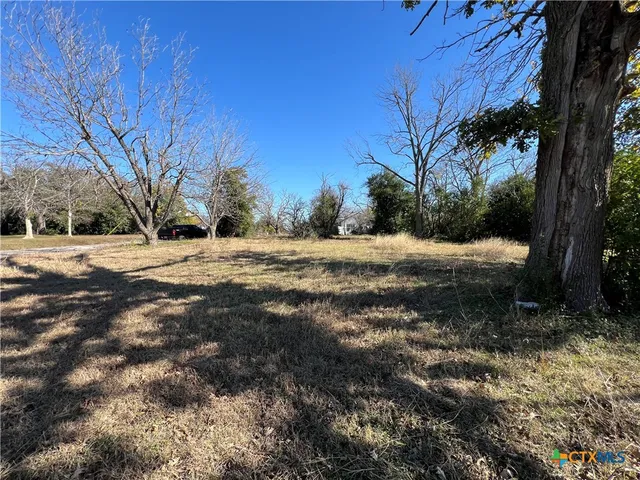 a view of dirt yard with large trees