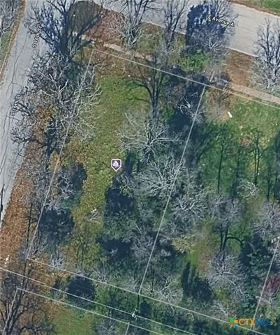 a view of a forest with lots of trees