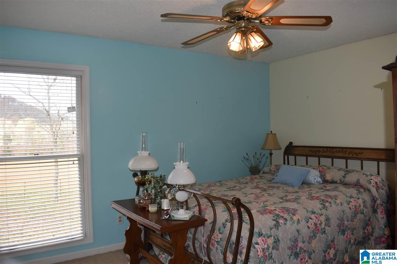 3785 Tidwell Hollow Road Oneonta, AL 35121 - Photo 35 of 42