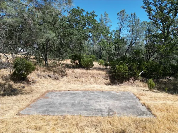 $25,000 | 16275 Oakridge Road, Corning, CA 96021