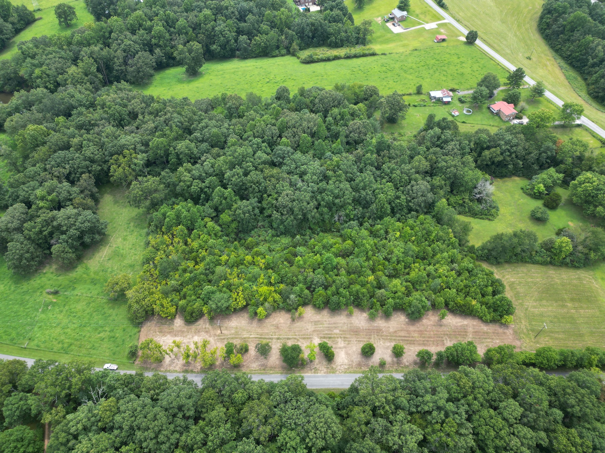 0 New Bethel Road Lyles, TN 37098 - Photo 3 of 24 a view of a garden with a lake