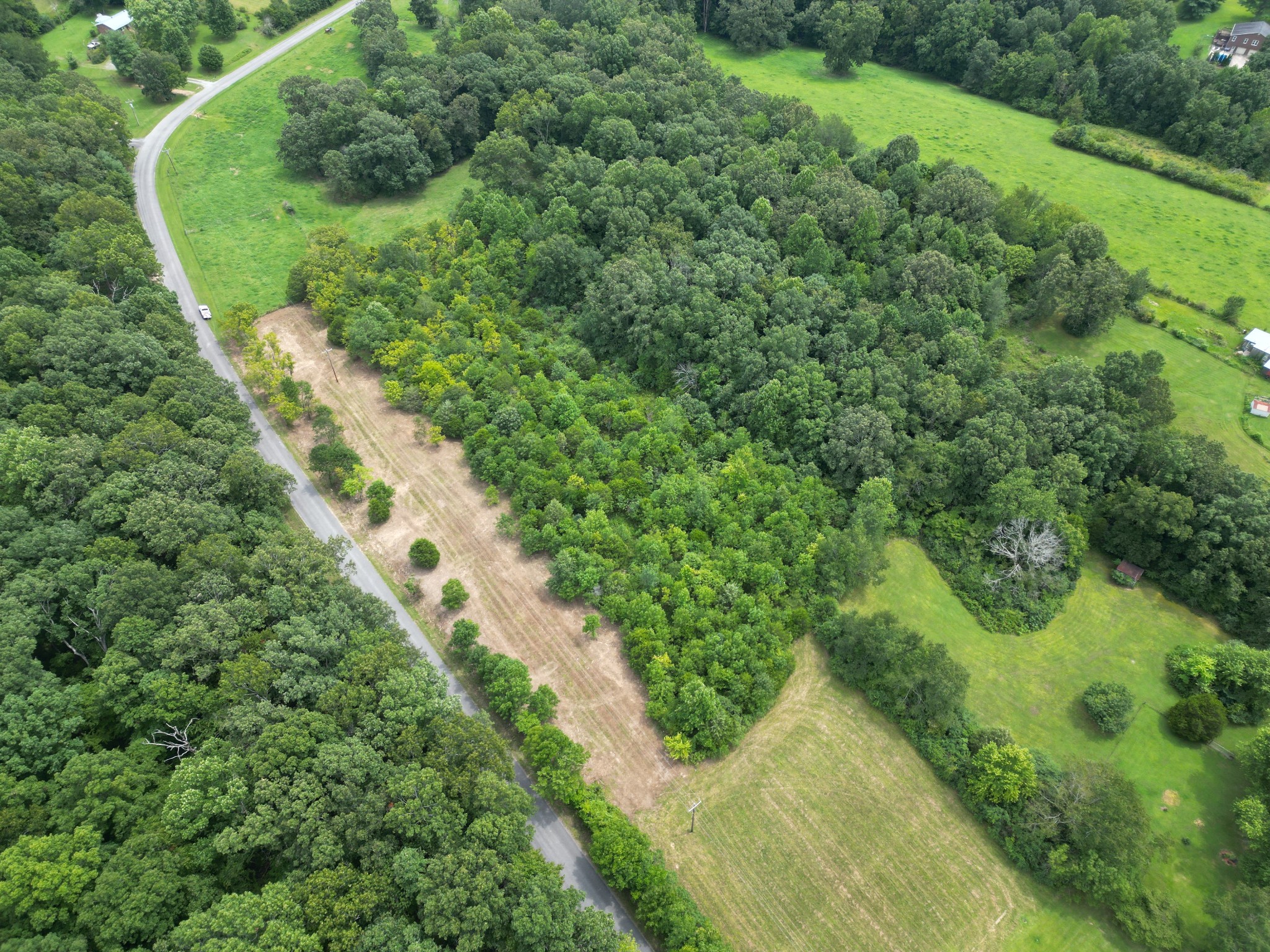 0 New Bethel Road Lyles, TN 37098 - Photo 4 of 24 a view of a lush green forest with a building