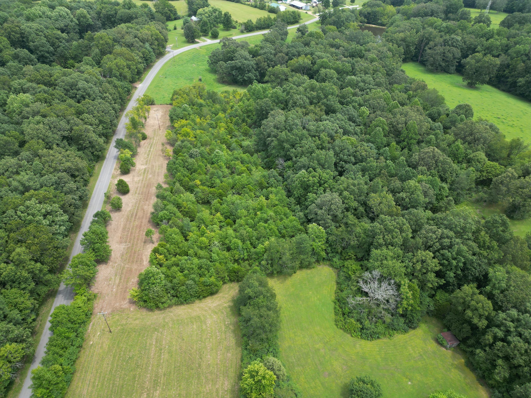 0 New Bethel Road Lyles, TN 37098 - Photo 7 of 24 a view of a yard with plants